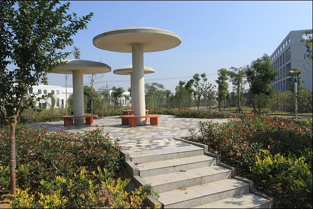 浙江信息工程学校